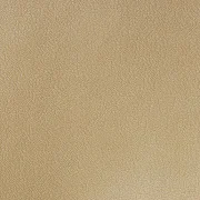 Образец отделки Винилискожа №50