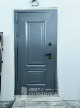 Серая входная дверь Термо Арктика с зеркалом АСД в частный дом