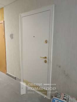 Входная дверь Stardis Comfort с временной панелью