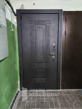 Входная дверь Викинг венге / зеркало дуб белёный АСД