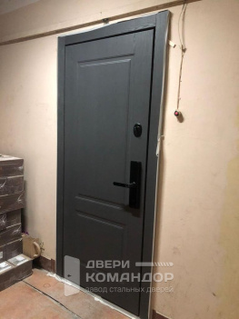 Входная дверь Stardis Comfort с биометрическим замком, с расширением проёма  (Типовая серия П43/16)